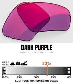 DARK PURPLE / MEDIUM LIGHT CONDITIONS