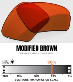 MODIFIED BROWN / BRIGHT LIGHT CONDITIONS